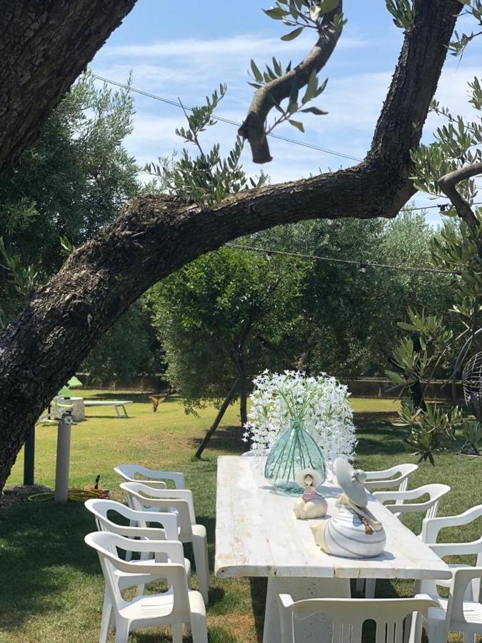 Pensione Degli Ulivi Porto SantʼElpidio Екстериор снимка