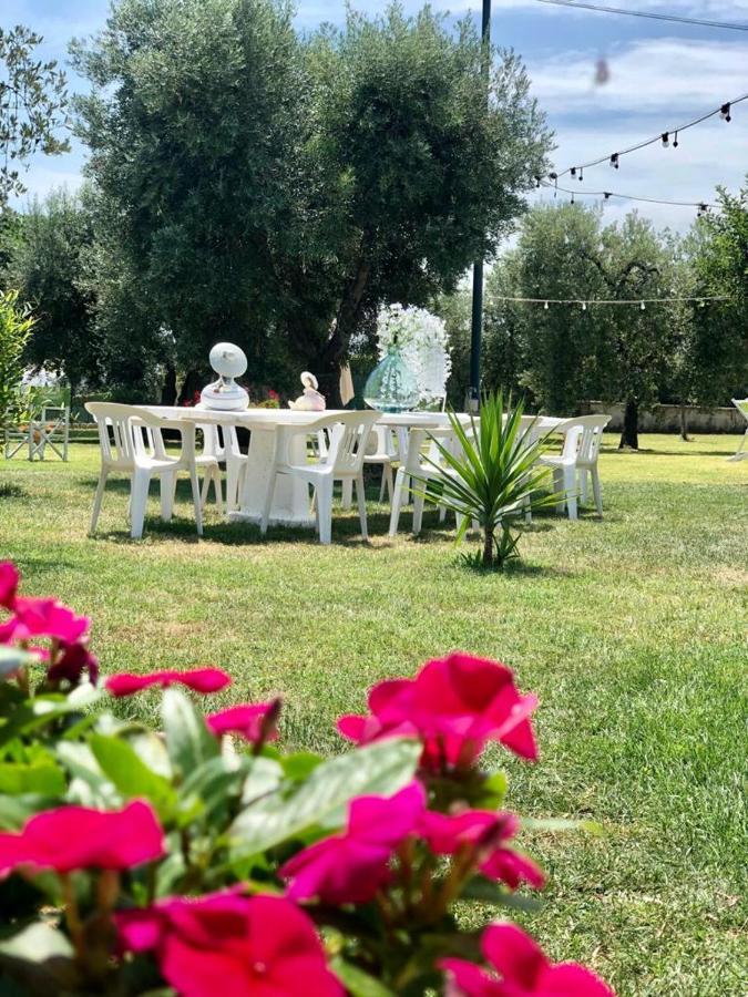 Pensione Degli Ulivi Porto SantʼElpidio Екстериор снимка