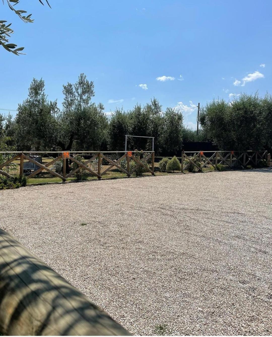 Pensione Degli Ulivi Porto SantʼElpidio Екстериор снимка
