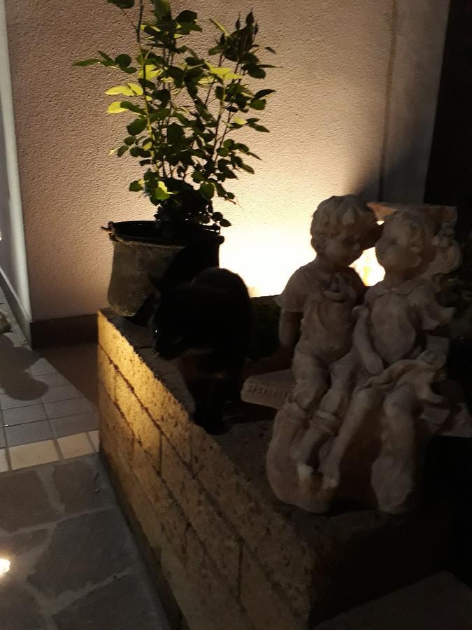 Pensione Degli Ulivi Porto SantʼElpidio Екстериор снимка